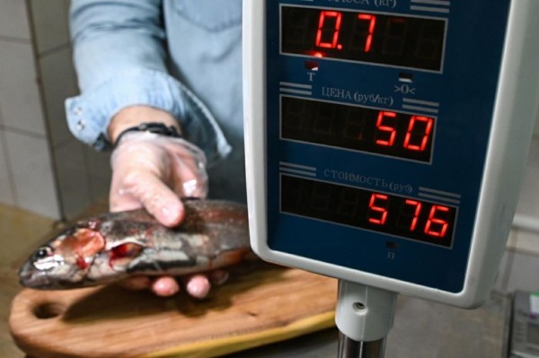 Смотреть в глаза: тюменский эксперт назвал  главные признаки свежести рыбы