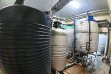 Гибрид русского и ленского осетра РоЛо выращивают на тюменской акваферме 