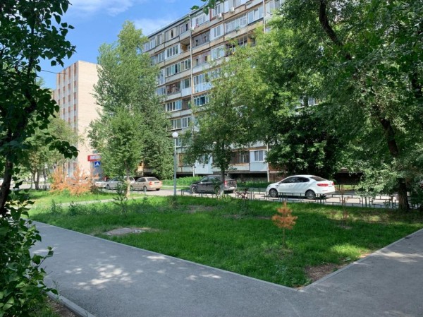 17 яблонь и две березы высадили на улице Мельникайте 