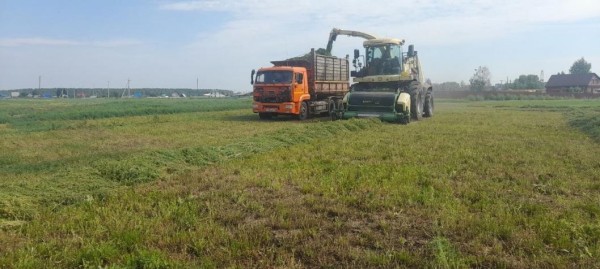 Тюменские полеводы заготовили 30 тонн сена и 380 тонн сенажа 