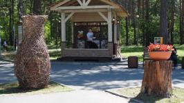 Команда дизайнеров из Новосибирска завоевала первое место с "Добрым ежом" на "Экофесте" в Тюмени 