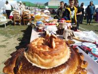 Варенье из роз назвали лучшим на фестивале "Мост дружбы" в Исетском районе