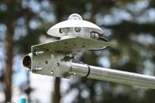 Растения из Перу, Эфиопии, Боливии адаптируют тюменские ученые к условиям Западной Сибири