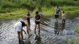 Тюменцы собирают зубы древних акул в турах с палеонтологами