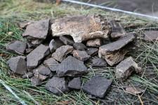  Крупное поселение предков татар под Тюменью исследуют археологи