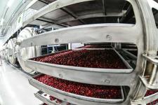 Фотогалерея: визит губернатора в Тюменский район