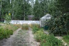 Растения из Перу, Эфиопии, Боливии адаптируют тюменские ученые к условиям Западной Сибири