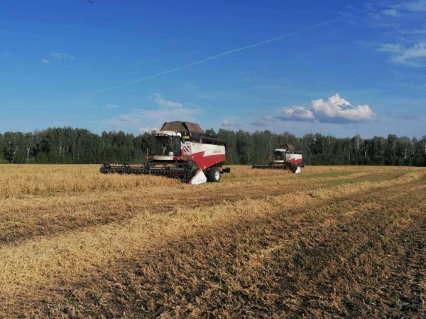 В Тюменской области на уборку урожая выйдут 1,5 тысячи зерноуборочных комбайнов