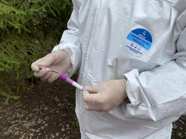 Карантин по бешенству животных ввели в селе Омутинского района