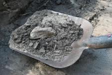  Крупное поселение предков татар под Тюменью исследуют археологи