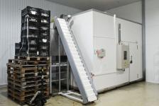 Шоковую заморозку использует для сохранения полезных свойств ягод производитель под Тюменью