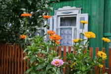 Тюменцев приглашают на исторические экскурсии по улице Холодильной