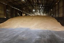 В Ишимском районе начали убирать горох