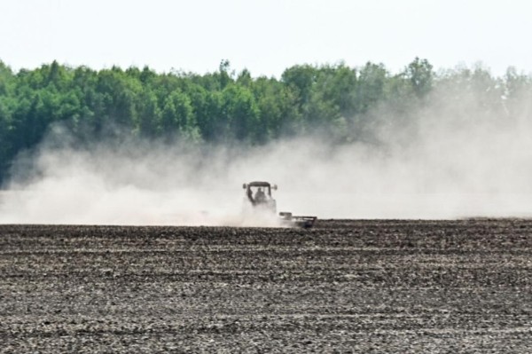 В Тюменской области восемь хозяйств приступили к севу озимых культур