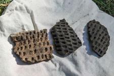  Крупное поселение предков татар под Тюменью исследуют археологи