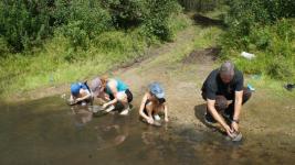 Тюменцы собирают зубы древних акул в турах с палеонтологами