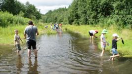 Тюменцы собирают зубы древних акул в турах с палеонтологами