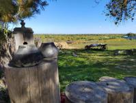  25 разных программ проводят в Музее истории крестьянского быта в Тюменском районе 