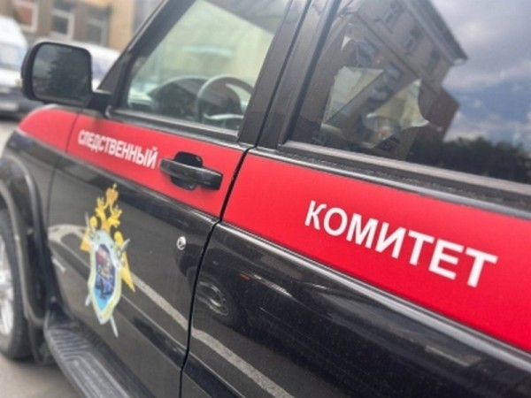 В Тобольске проверят обстоятельства инцидента с ребенком на дороге