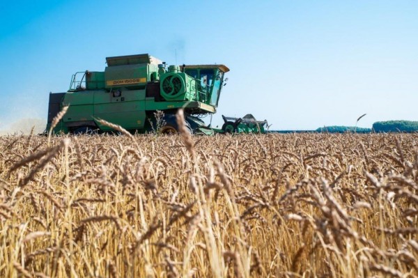 Аграрии Тюменской области собрали первый миллион тонн зерна