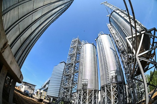 Первый в России завод по глубокой переработке гороха откроется в Тюменской области