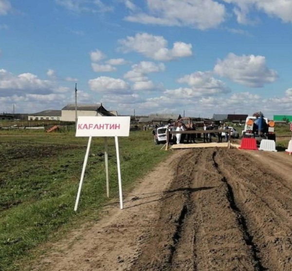 В деревне Ялуторовского районе ввели карантин по бешенству