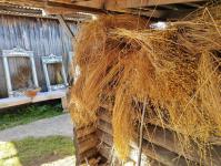  25 разных программ проводят в Музее истории крестьянского быта в Тюменском районе 