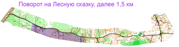 Около 120 тюменцев пробегут кросс-марафон в соревнованиях по ориентированию