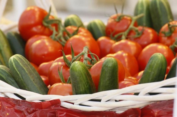 Новую очередь тепличного комбината откроют в Тюменском районе в ноябре