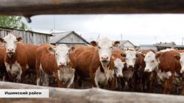 В Тюменской области 83 предпринимателя получили 40 млн рублей на бизнес-проекты В Тюменской области 83 предпринимателя получили 40 млн рублей на бизнес-проекты