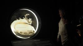 Ямал в стеклянных шарах представили на выставке в Тюмени Ямал в стеклянных шарах представили на выставке в Тюмени