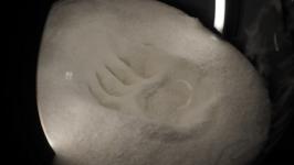 Ямал в стеклянных шарах представили на выставке в Тюмени Ямал в стеклянных шарах представили на выставке в Тюмени