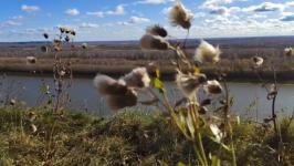 "По щучьему велению", съемки которого проходили в Тобольском районе, начнут показывать с 26 октября