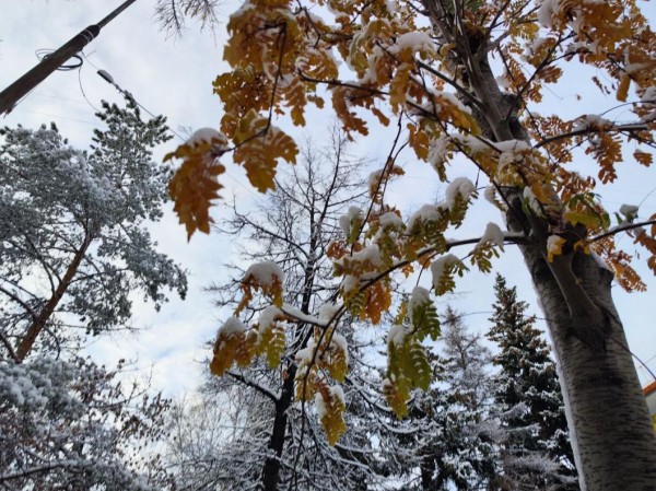 В Тюменской области отменили пожароопасный сезон