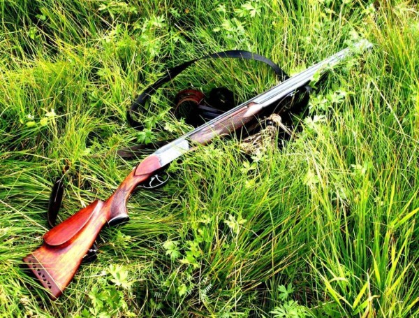 В Тобольском районе браконьеры убили двух косуль В Тобольском районе браконьеры убили двух косуль