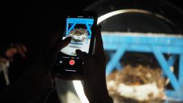 Ямал в стеклянных шарах представили на выставке в Тюмени Ямал в стеклянных шарах представили на выставке в Тюмени