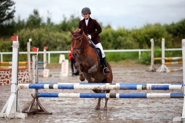 Соревнования по конному спорту пройдут на Тюменском ипподроме 