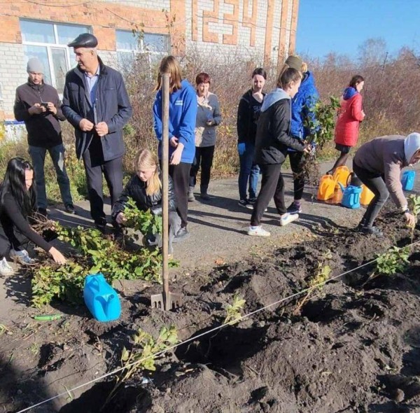 В шести районах Тюменской области появились пришкольные ягодные сады В шести районах Тюменской области появились пришкольные ягодные сады