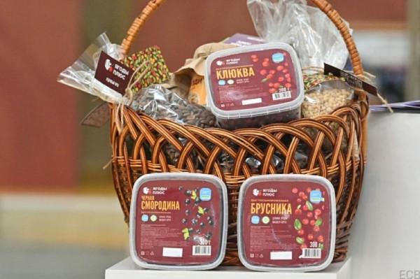 В Тюменской области 150 семей высадили 12 тысяч кустов смородины В Тюменской области 150 семей высадили 12 тысяч кустов смородины