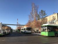 В Тюменской области более 2500 водителей заняты пассажироперевозками