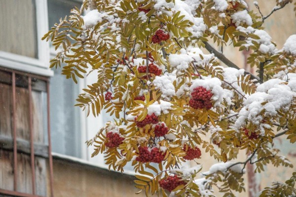 Тюменцам напомнили, куда сообщать об опасных сосульках и наледи