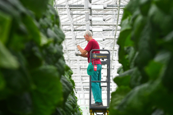 Тюменским работодателям субсидируют создание временных рабочих мест и в 2024 году 