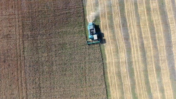 Тюменский молочный комплекс "Дамате" обеспечил буренкам сытную зимовку 