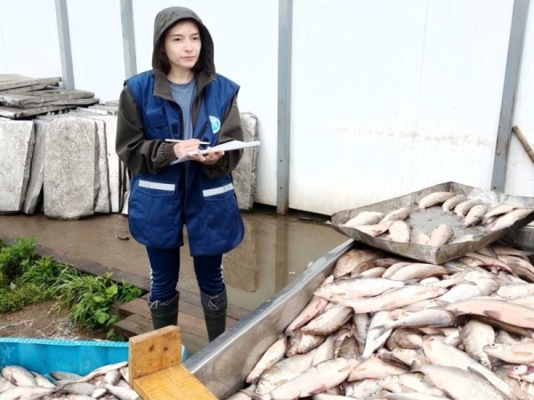 Тюменские ихтиологи оценили ход нереста ряпушки в Тазовском бассейне Ямала