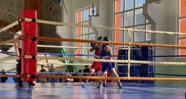 В Ишиме стартовал турнир по боксу в честь Дня народного единства