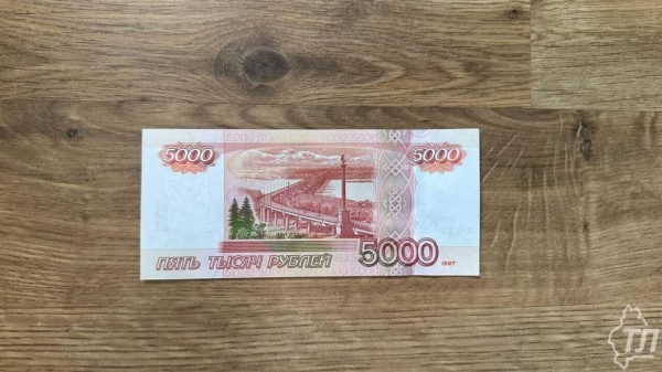 84 жителя региона пострадали от рук мошенников за минувшую неделю