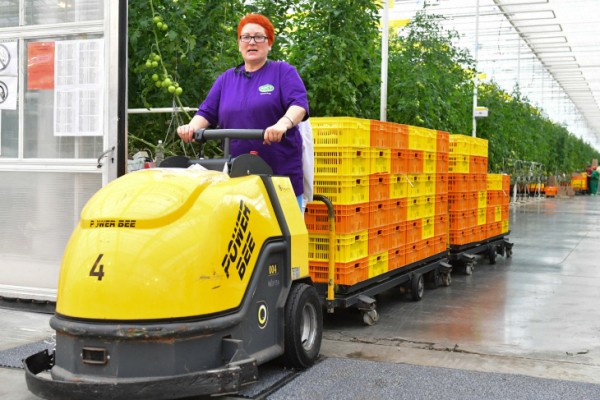 На одного соискателя в Тюменской области приходится 10 вакансий