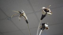 Работы 13 мастеров-косторезов выставили в галерее сувениров в Тюмени