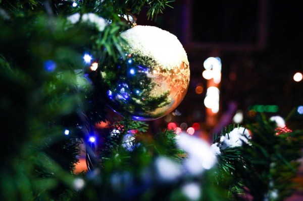 Губернатор призвал жителей региона покупать елки только на специальных базарах