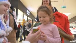 Организаторы "Елки желаний" устроили флешмобы в торговых центрах Тюмени